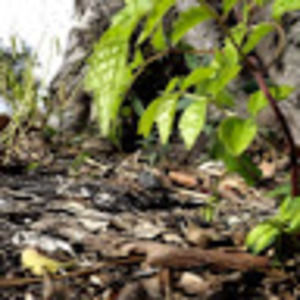 Meet your Posher, Kiara